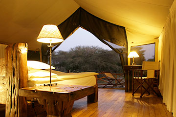 jongomero ruaha tanzania